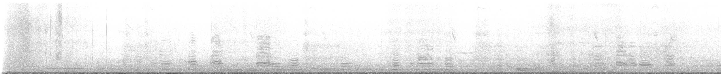 stripegås - ML646573636