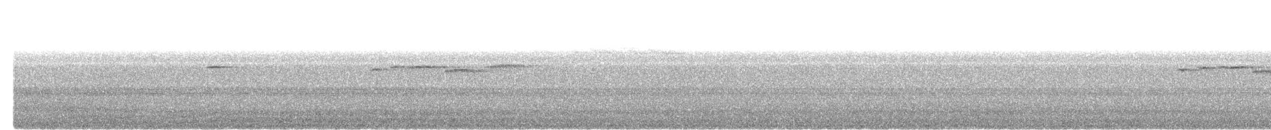 Spiegelschnäpper - ML646573761