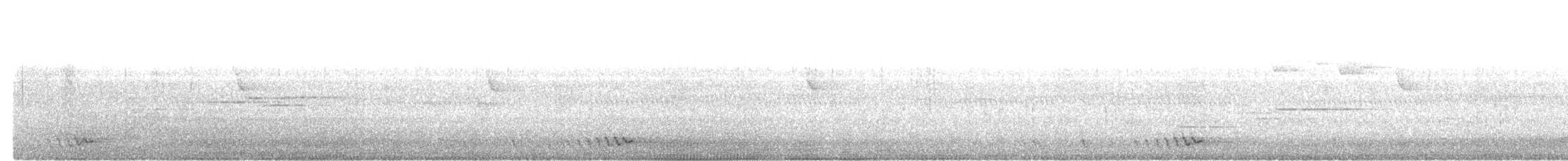 Prachtbartvogel - ML646573782