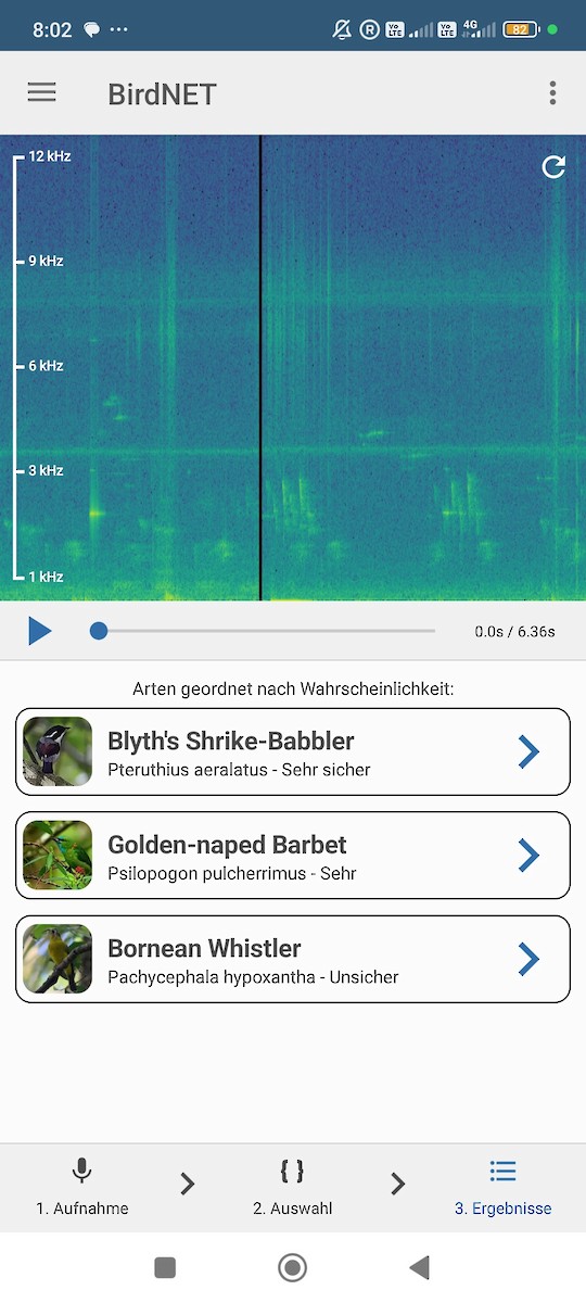 Rostflügel-Würgervireo - ML646573783