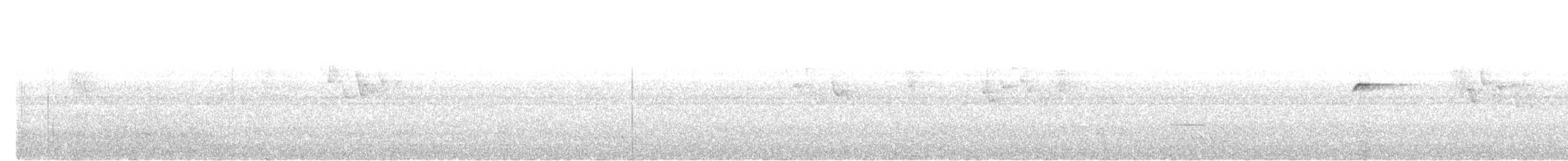 Weißkehl-Fächerschwanz - ML646573804