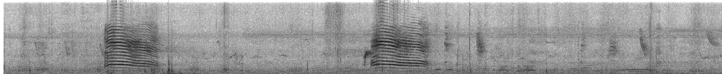 Hadada ibisa - ML646573845