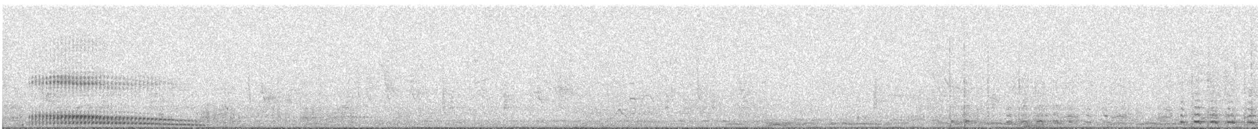 Mourning Collared-Dove - ML646574114