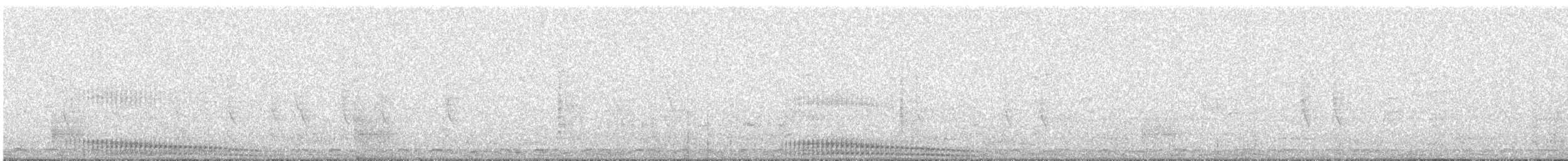 Mourning Collared-Dove - ML646574115