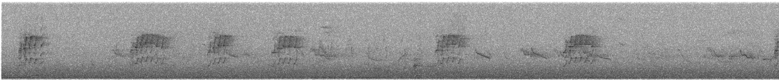 Капская белоглазка - ML646574196