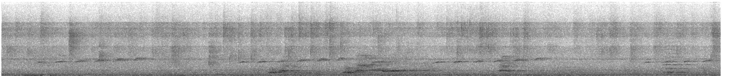 Coucou à queue fourchue - ML646574235