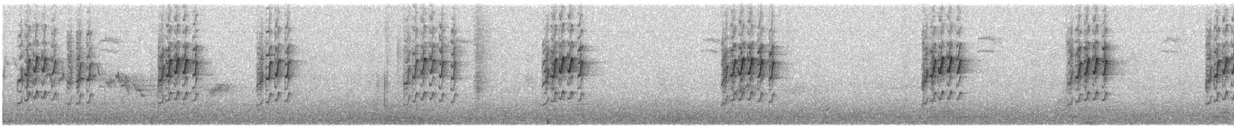 Zostérops du Cap - ML646574239