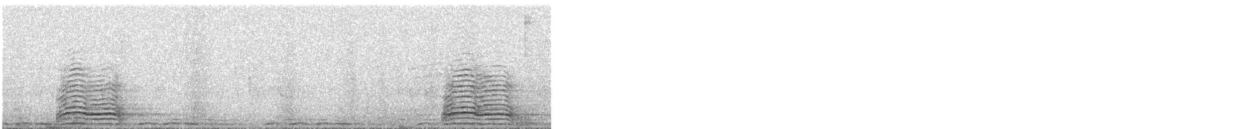 Ibis hagedash - ML646574454