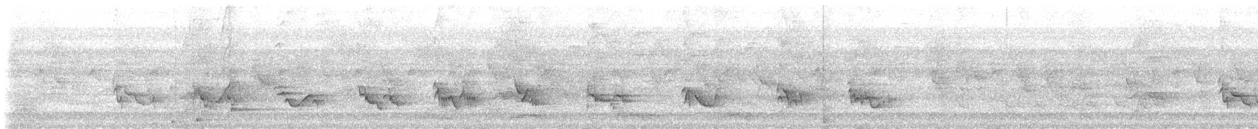 Merle à bec noir - ML646574499