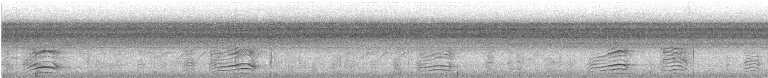 Calao gris - ML646574537