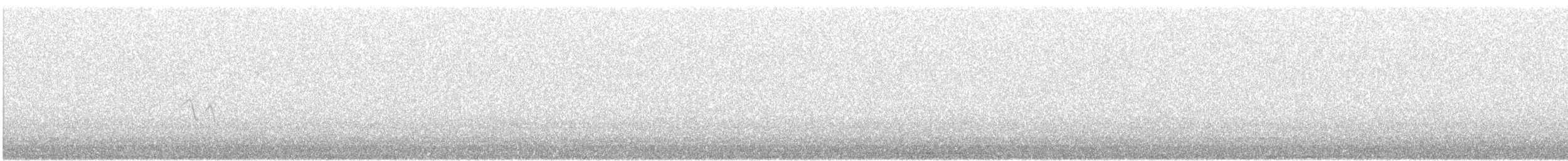 Chevalier sylvain - ML646574886