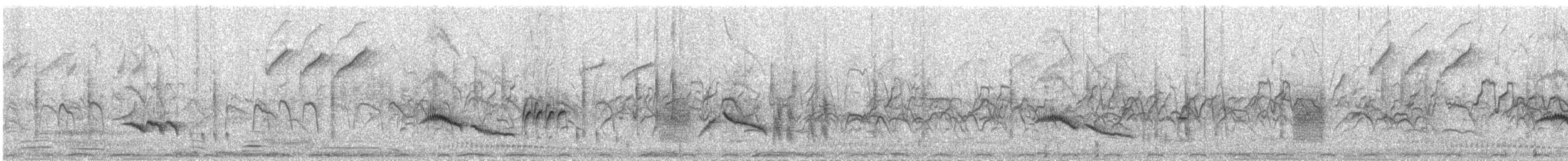 Agrobate podobé - ML646574956