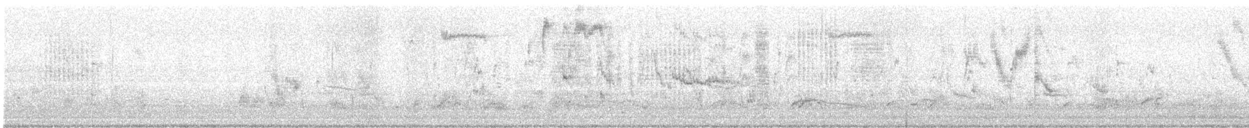 Arabazozo pikarta/beltza - ML646575056