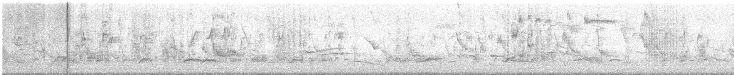 Arabazozo pikarta/beltza - ML646575057