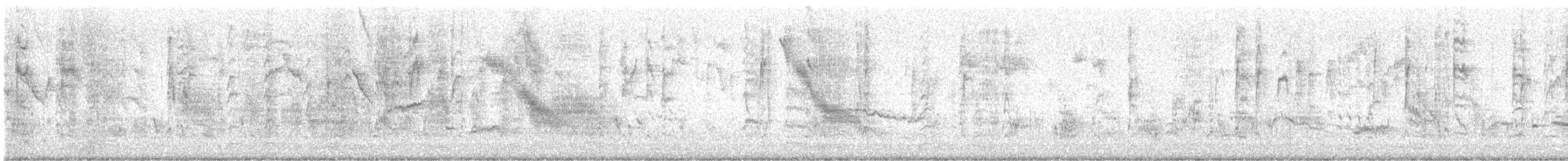 Arabazozo pikarta/beltza - ML646575058