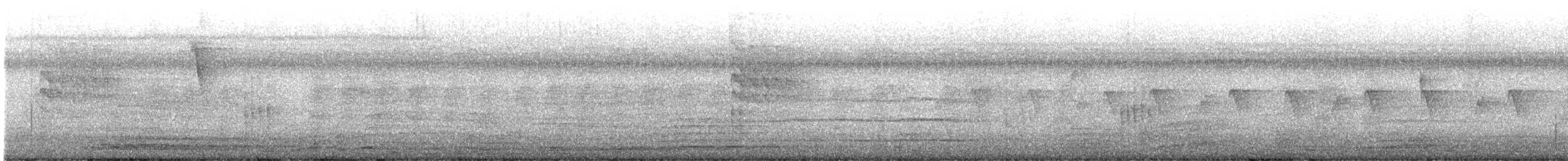 ub. spurvefugl (Passeriformes sp.) - ML646575093