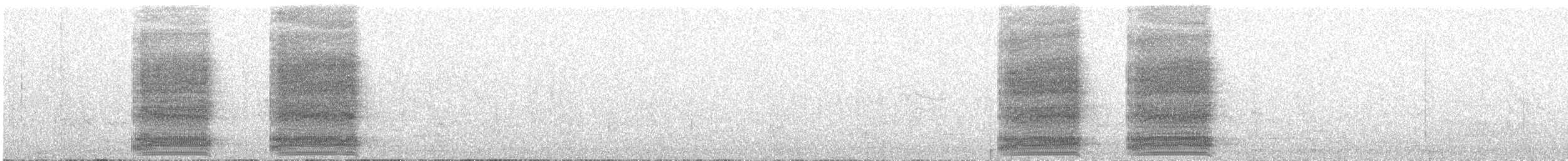 hvitbrystkråke - ML646575128