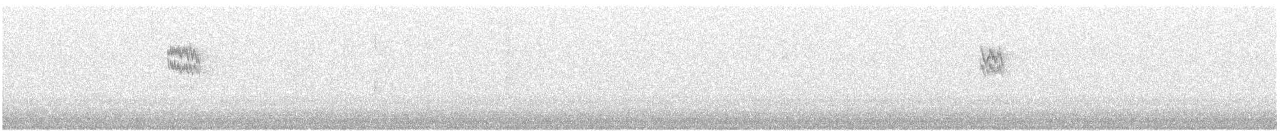 svarthvit fluesnapper - ML646575244