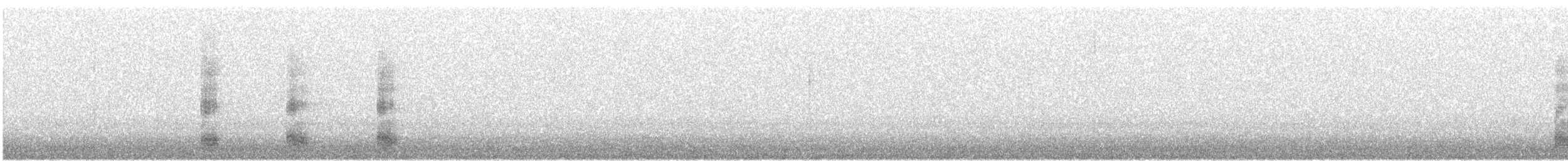 silkehegre - ML646575257