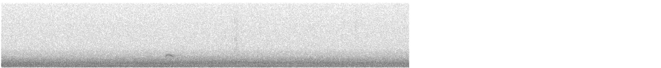 dvergrørdrum - ML646575267