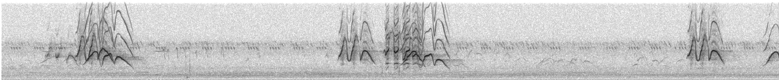 White-faced Whistling-Duck - ML646575313