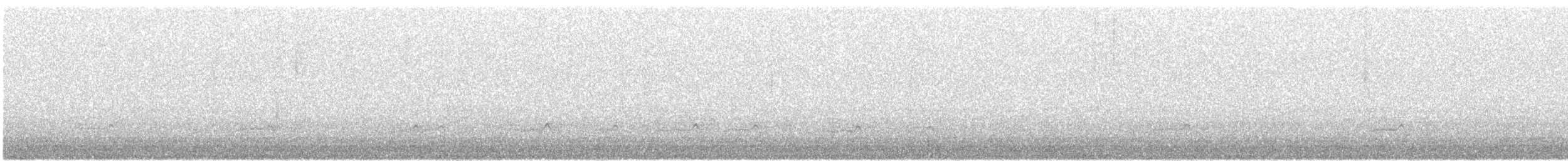 Chorlitejo Grande - ML646575335