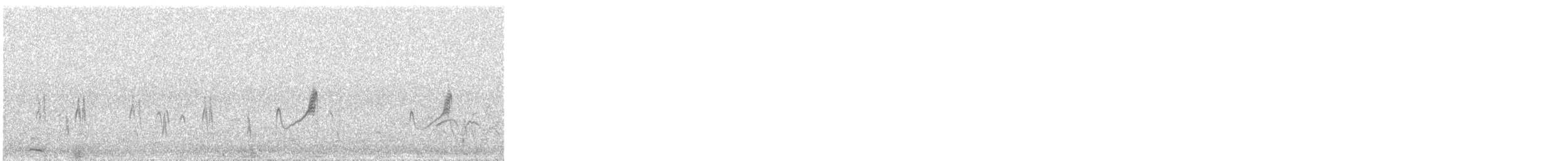 Chorlitejo Pecuario - ML646575349