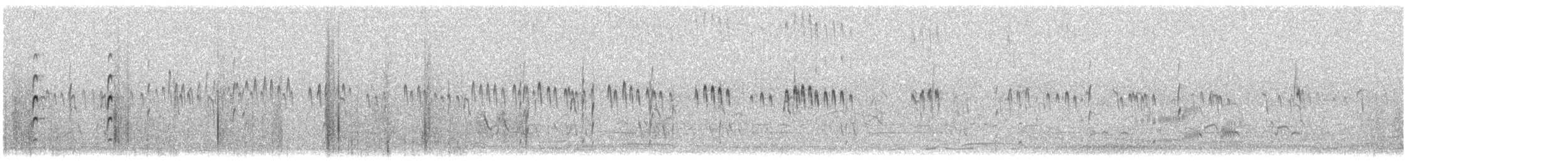 Темминкийн элсэг - ML646575363