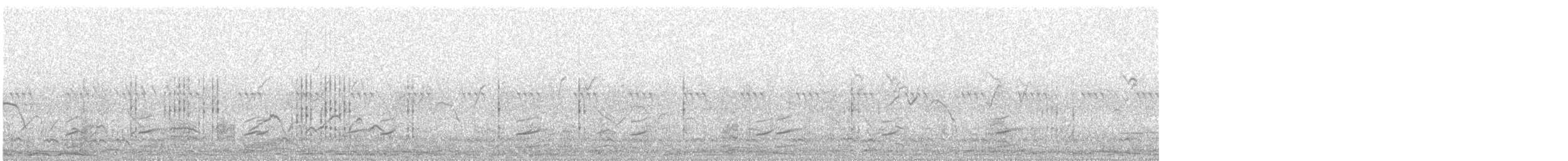 Цагаан хөмсөгт нугас - ML646575570