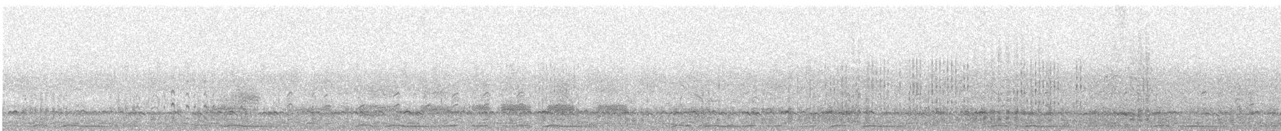 Шовтгор алаг нугас - ML646575571