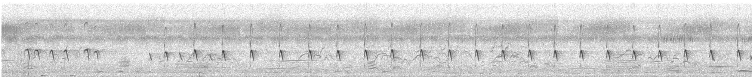 vodouš bahenní - ML646575634