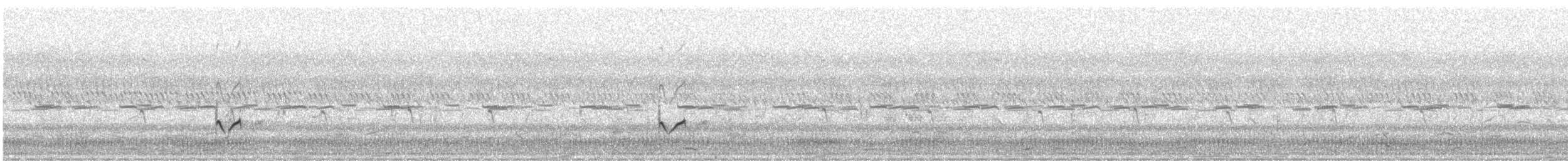 Хар хөгчүү - ML646575637