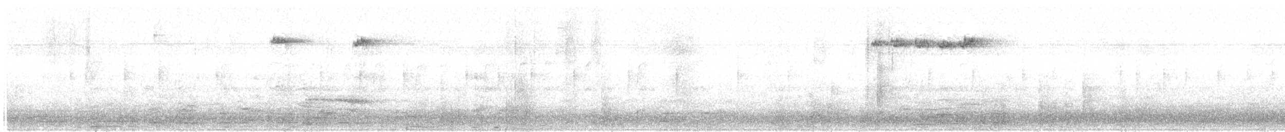 králíček obecný - ML646575844