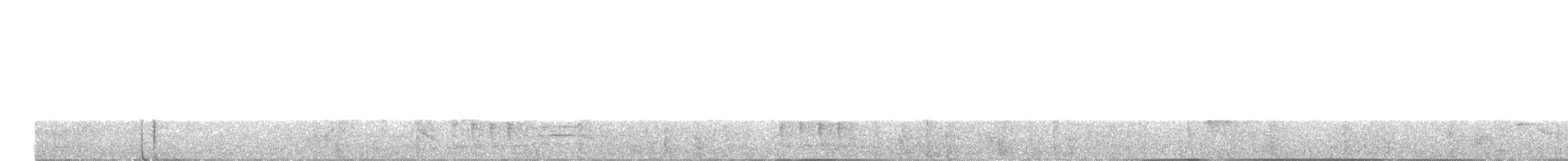 střízlík čepičatý - ML646576158