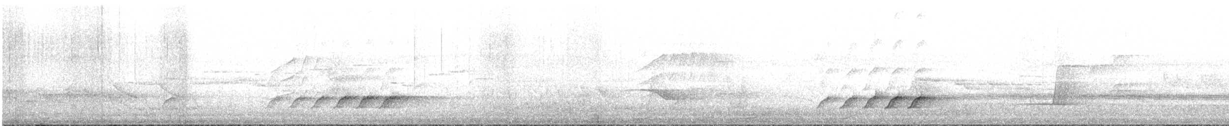 lezčík bělohrdlý - ML646576166