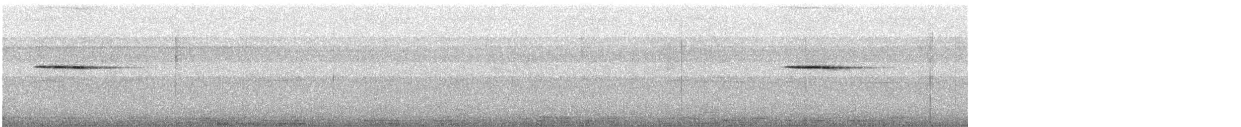 Malabar Whistling-Thrush - ML646576227