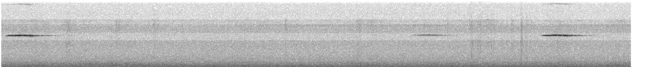 Malabar Whistling-Thrush - ML646576229