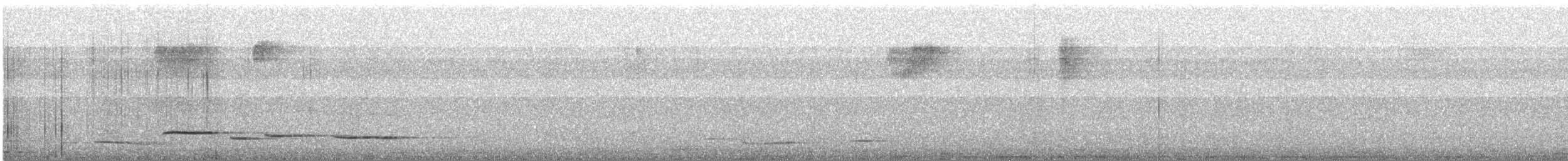 Malabar Whistling-Thrush - ML646576230