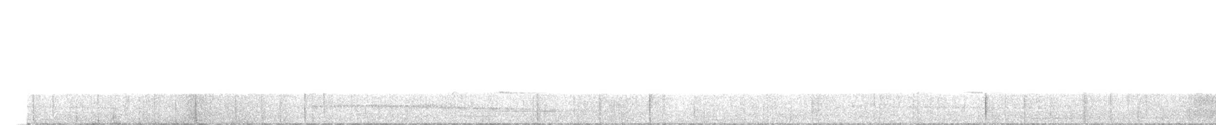 leskot šedobřichý - ML646576307