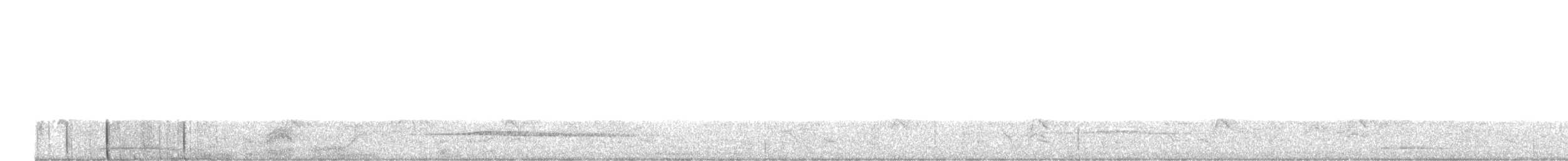 puštík brýlatý - ML646576447