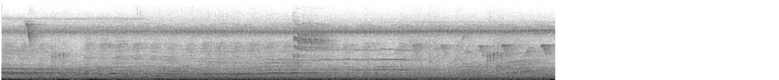 Paseriformea sp. - ML646576572