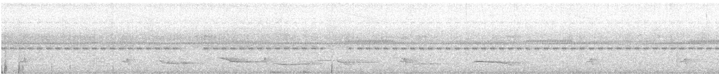 White-necked Thrush - ML646576685