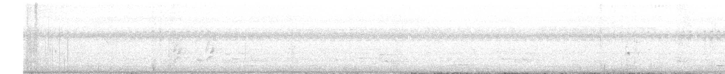 Plum-headed Parakeet - ML646576821