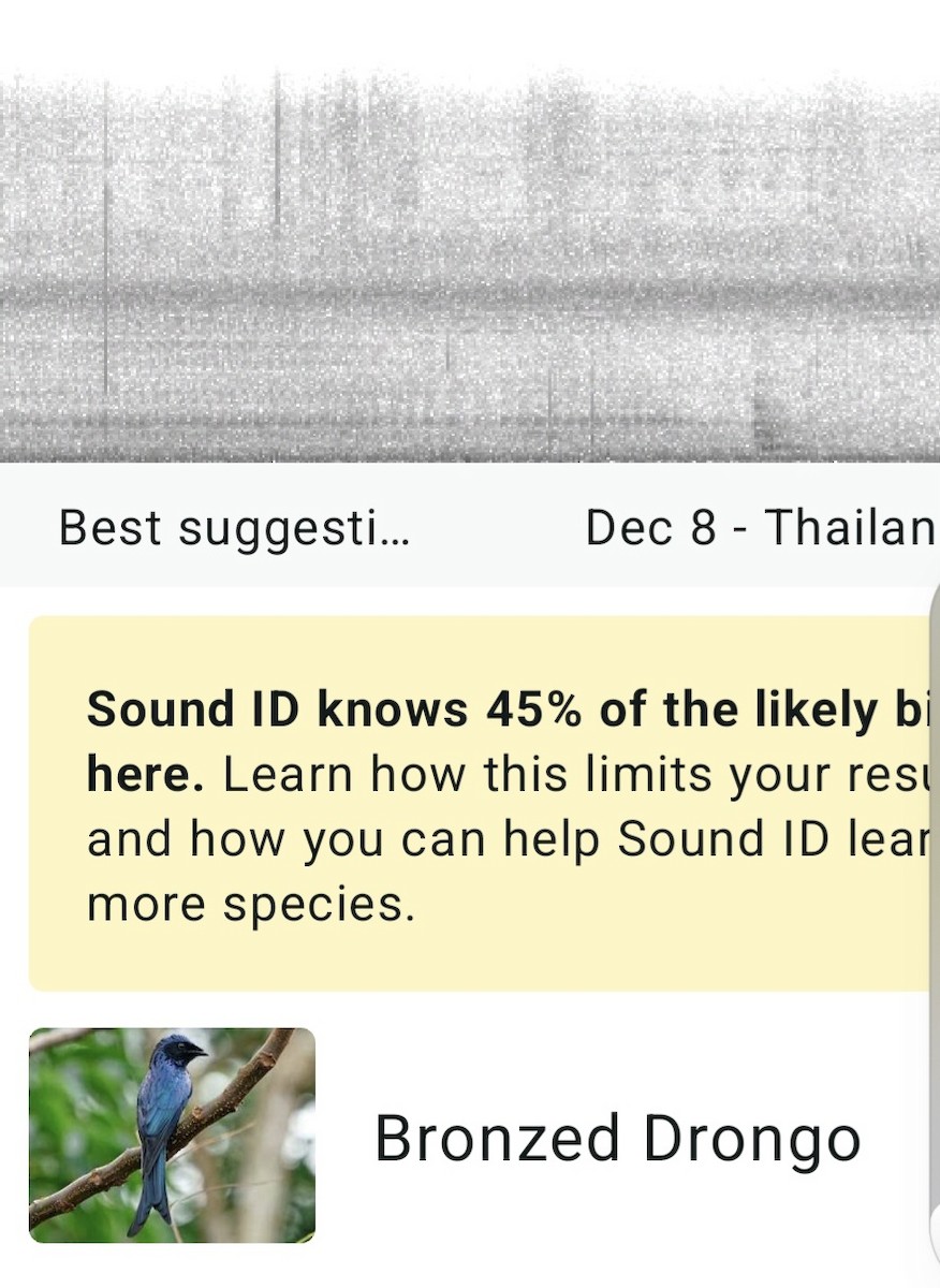 Дронго бронзовий - ML646576844