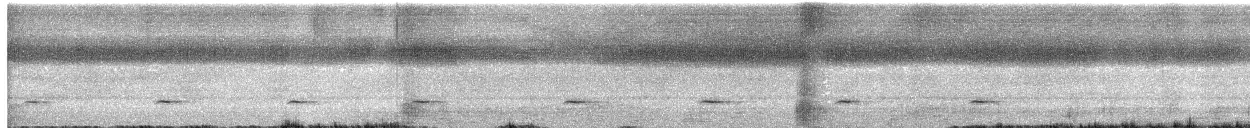 Gray-headed Robin - ML646577092