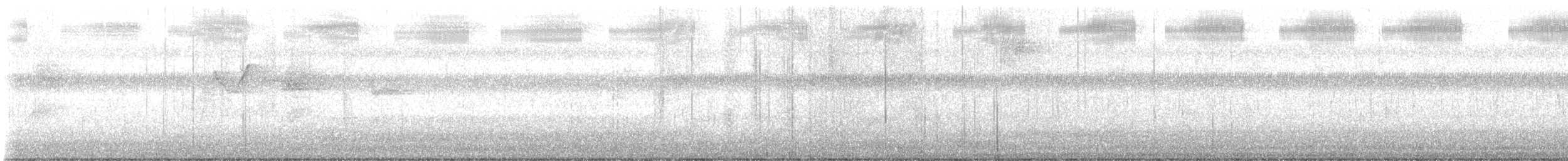 Hainan Blue Flycatcher - ML646577212