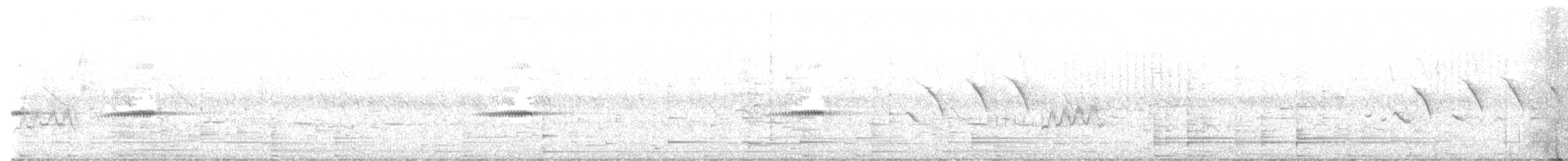 Barred Wren-Warbler - ML646577220