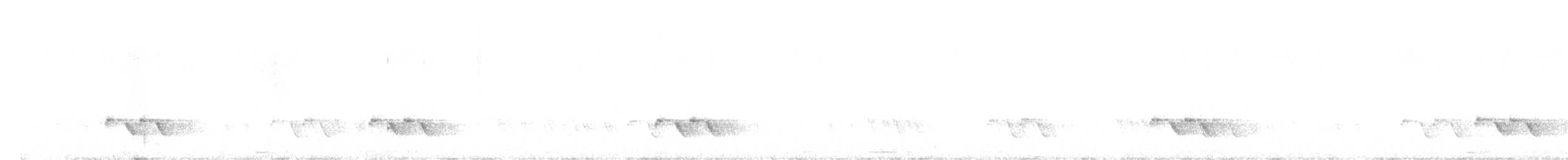 pardalot australský (ssp. substriatus) - ML646577508