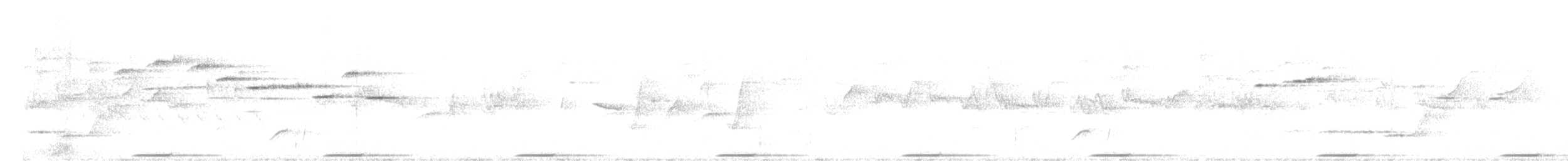 holub pestrokřídlý - ML646577590