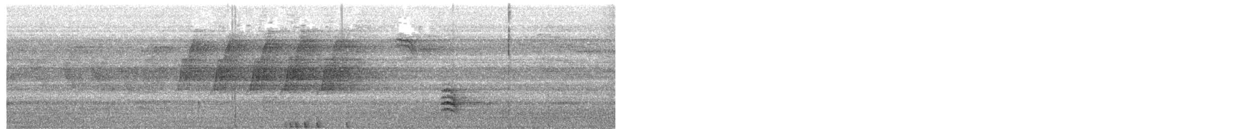 brhlík běloprsý - ML646577701